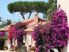 183 ILE DE PORQUEROLLES -2_000031